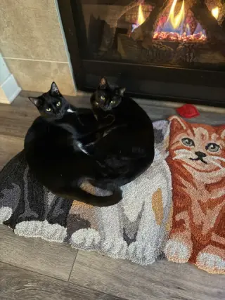 MERCY & ROXY - Twice the Sister Fun!