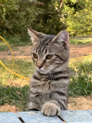 Little One