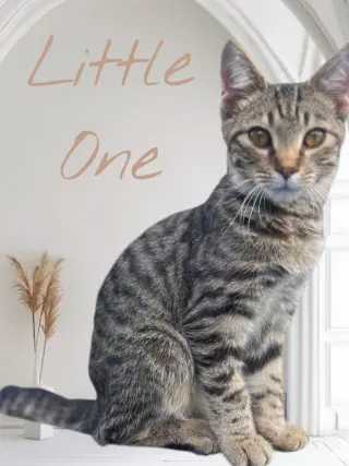 Little One