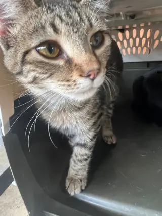 Little One