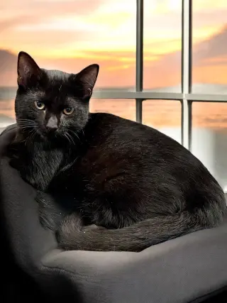 Zeke