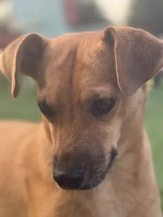 Pilar