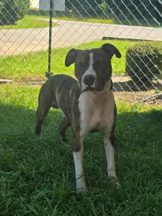 Riley