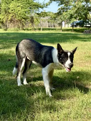 Delanie