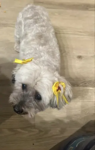 Chiquita