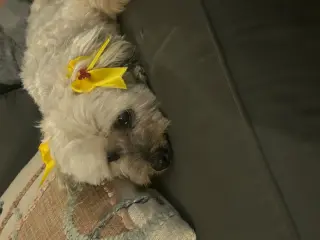Chiquita
