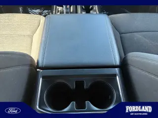 Ford F-150 2023 4x4 XLT 4dr SuperCrew 5.5 ft. SB