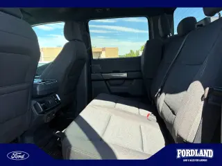 Ford F-150 2023 4x4 XLT 4dr SuperCrew 5.5 ft. SB