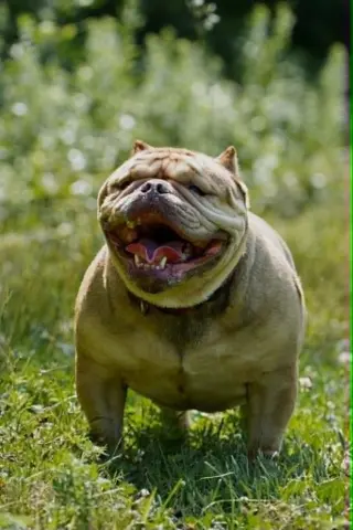 Truffle (GA)
