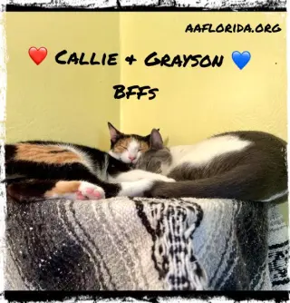 Callie & Grayson
