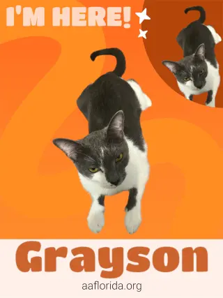 Callie & Grayson