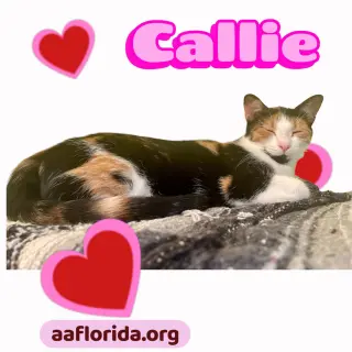 Callie & Grayson