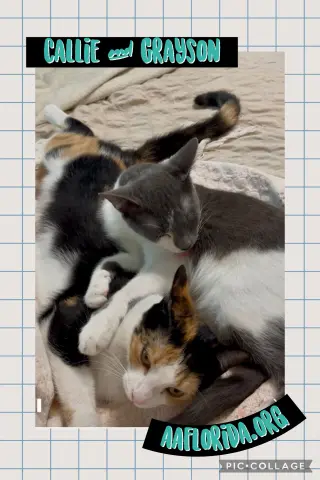 Callie & Grayson
