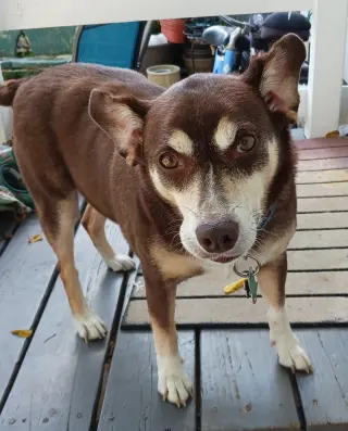 *Riley - Courtesy Listing