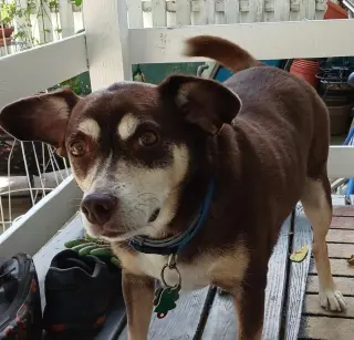 *Riley - Courtesy Listing