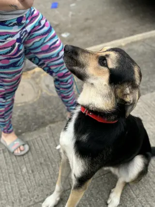 Jude
