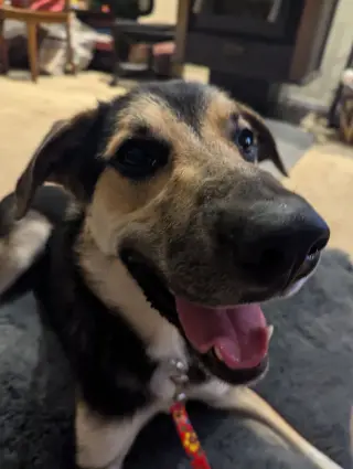 Jude