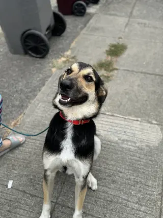 Jude