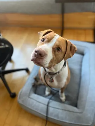 Riley