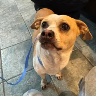 Bonnie