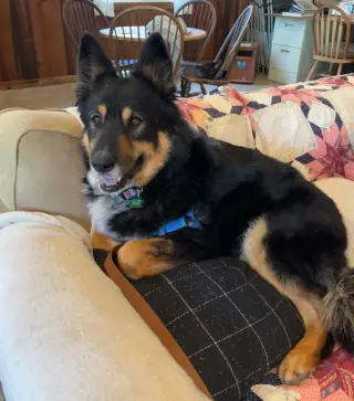 Precious