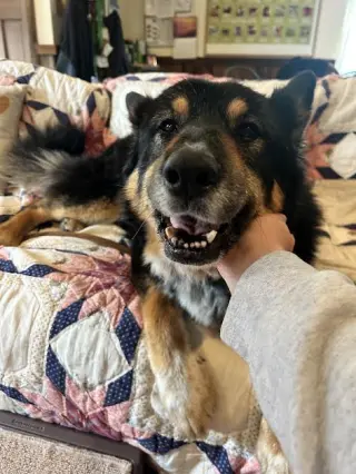 Precious