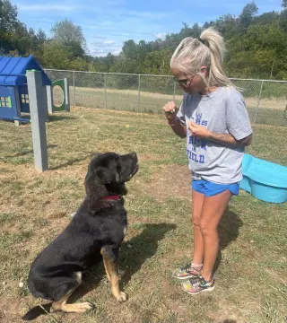 Buddy