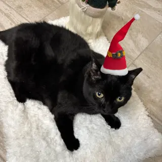 Mama