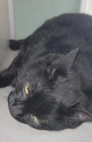 Mama