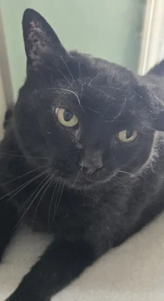 Mama