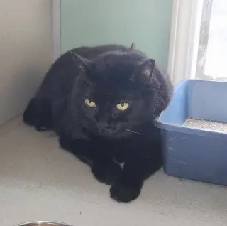 Mama