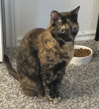 Molly-Sue