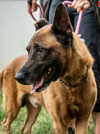Tiago - Located in FL