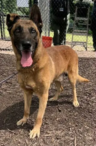 Tiago - Located in FL