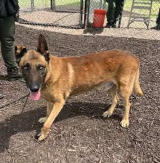 Tiago - Located in FL