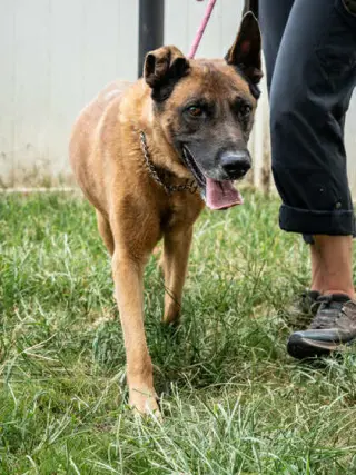 Tiago - Located in FL