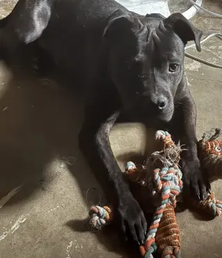 Boomer GDP