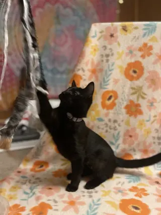 December