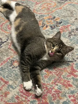 Buttercup aka Blinkie