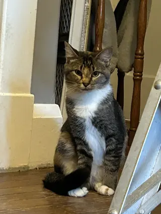 Buttercup aka Blinkie