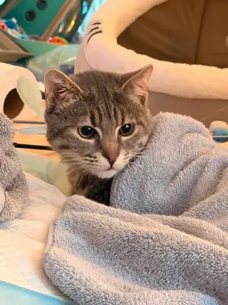 HUXLEY