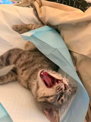 HUXLEY