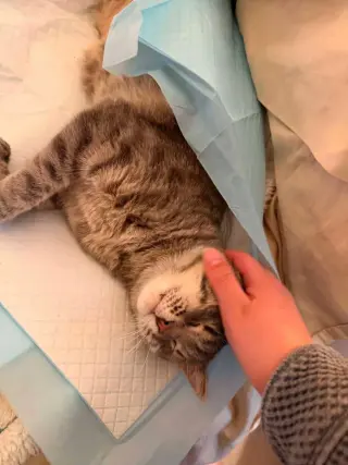 HUXLEY