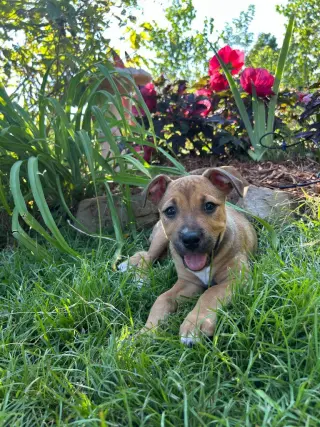 Quincy