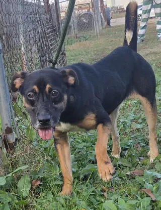 Little Miss