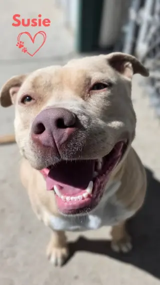 Susie