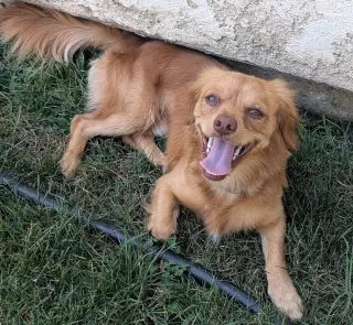 Cash