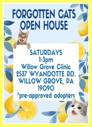 Willow Grove PA Clinic/Shelter Open House Aug. 08