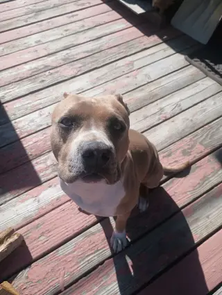 Molly