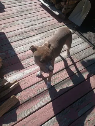 Molly